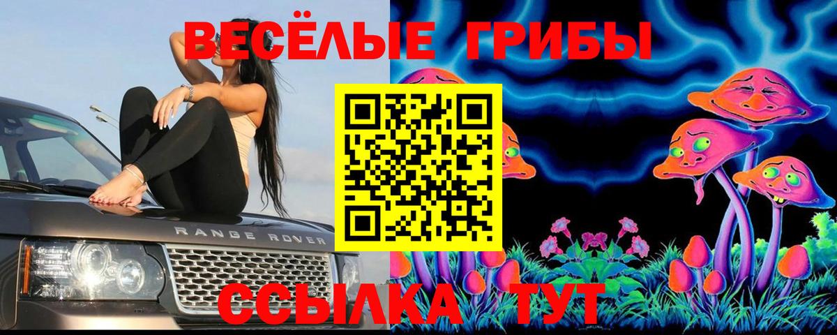 где купить наркотик  Галлюциногенные грибы Psilocybe  Вход с VPN  Северобайкальск 