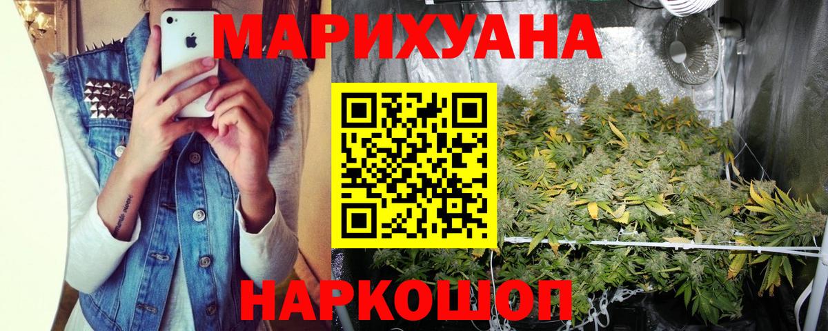 Конопля гибрид Северобайкальск